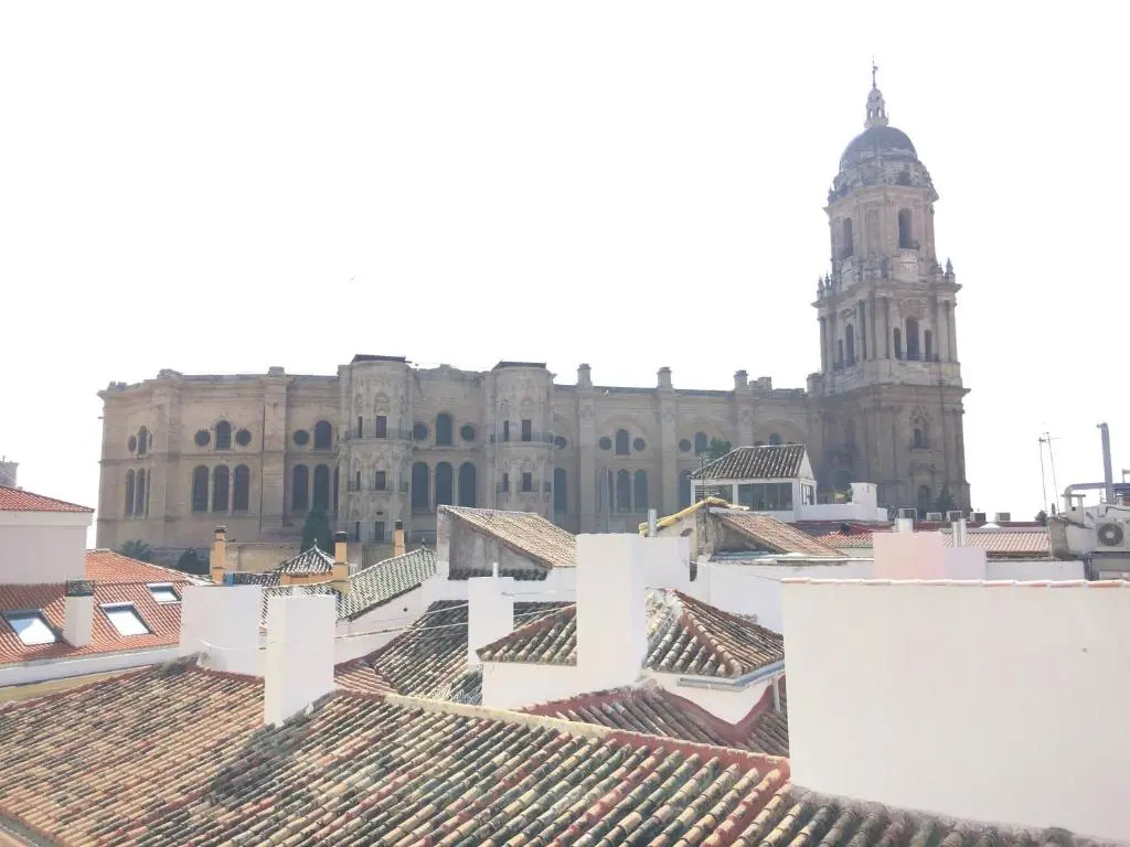 Vive Malaga — фото 5