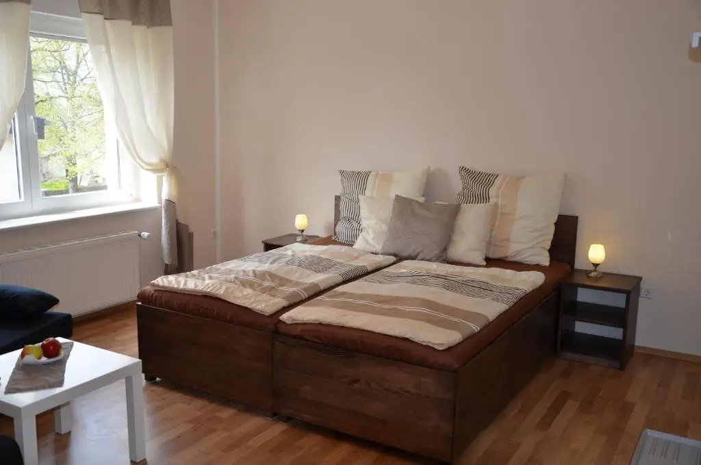 Standard Double room (full double bed)