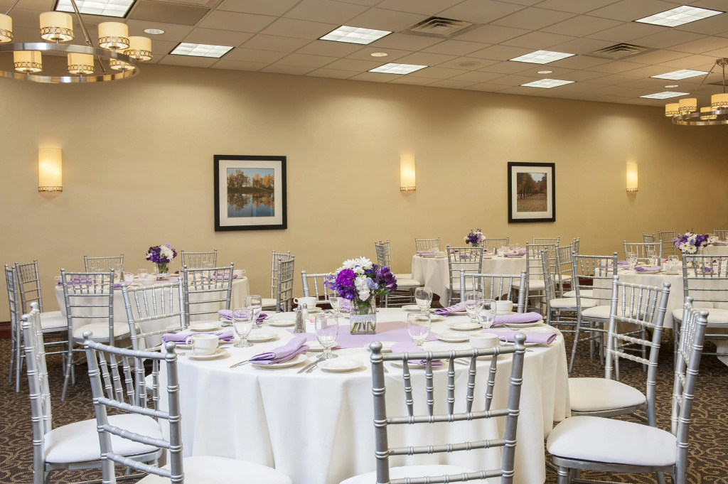 Holiday Inn Chicago West - Itasca - Général