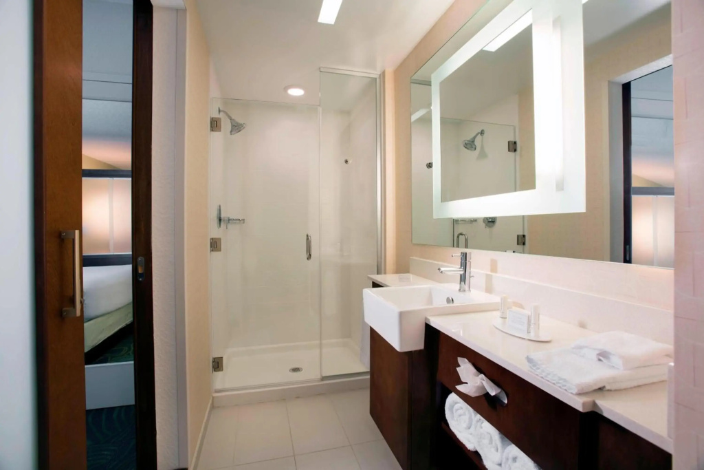 SpringHill Suites Orlando at FLAMINGO CROSSINGS® Town Center/Western Entrance - Général