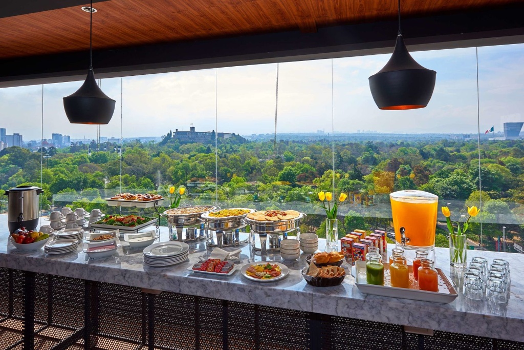 Hilton Garden Inn Mexico City Polanco - Général