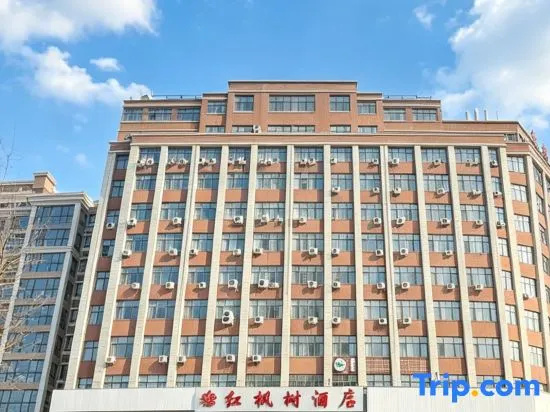 Red maple tree hotel in Zhengzhou