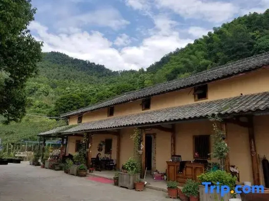 Xuexue B&B