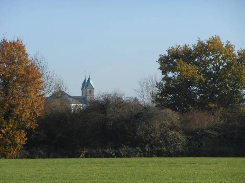 Image 14