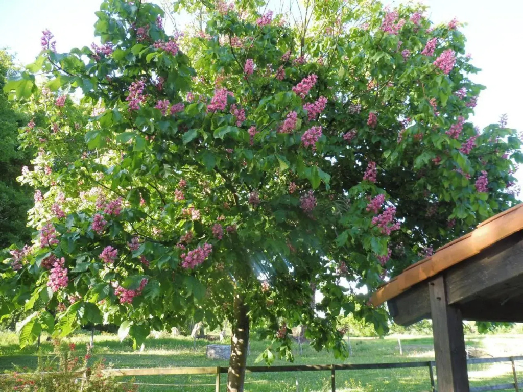 L'instant jardin