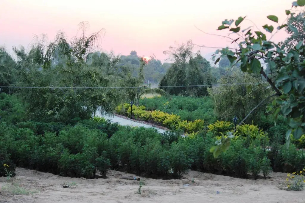 Lohana Village Resort - Chambres