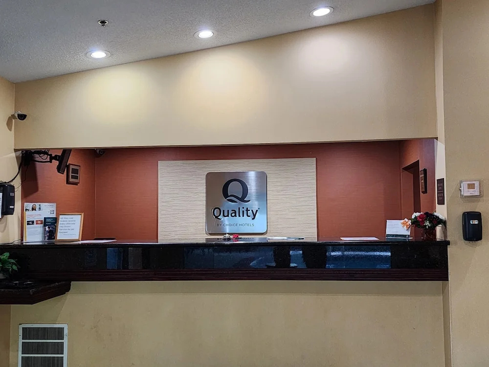 Lobby & Reception