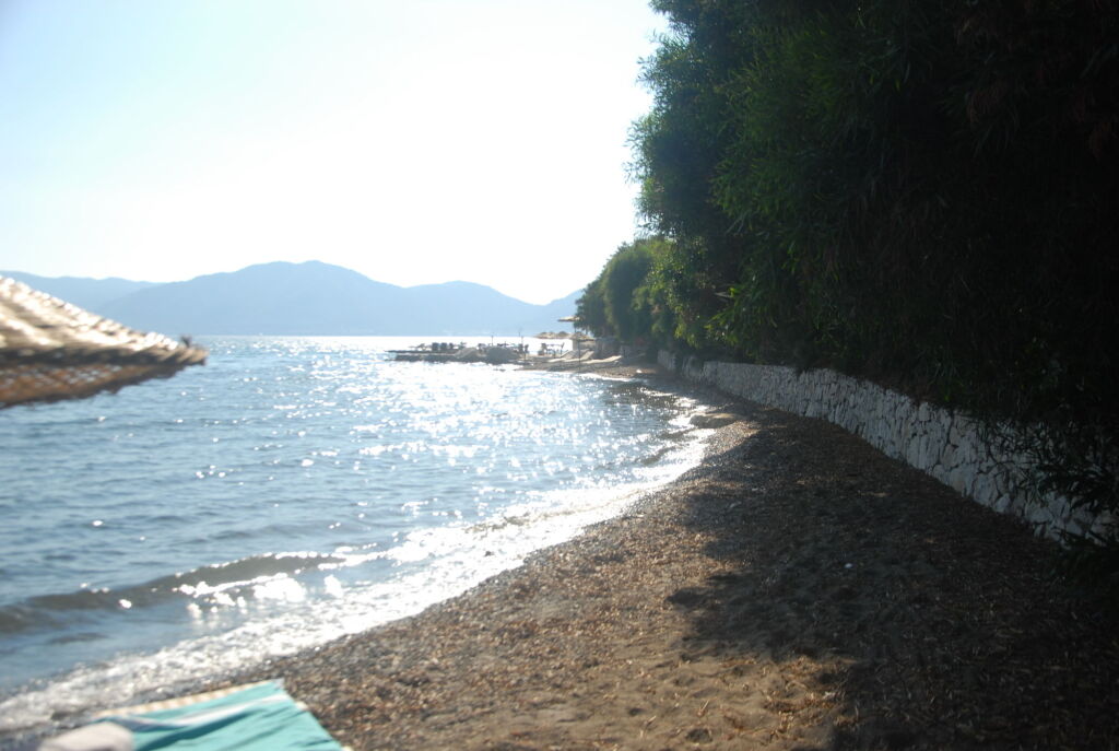 Image 10