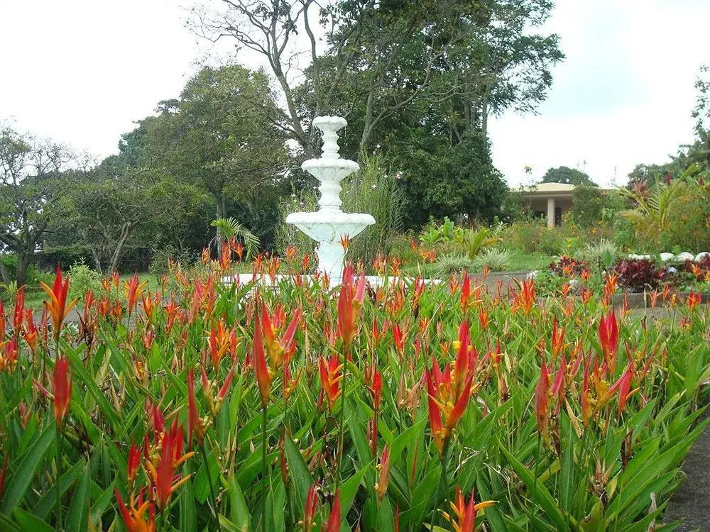 La Catalina Hotel and Suites - фото 19