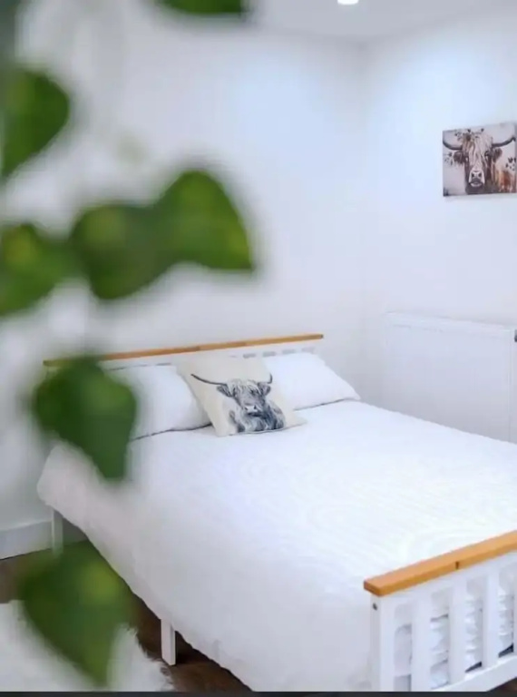 Modern Comforts 4 Bedroom Home for Work & Play