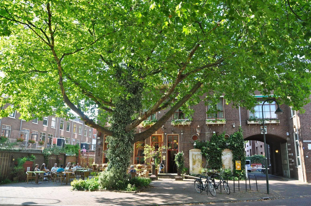 Hotel De Plataan Delft Centrum - Général