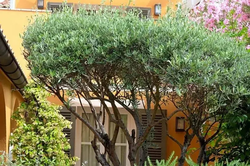 Hotel photo 29