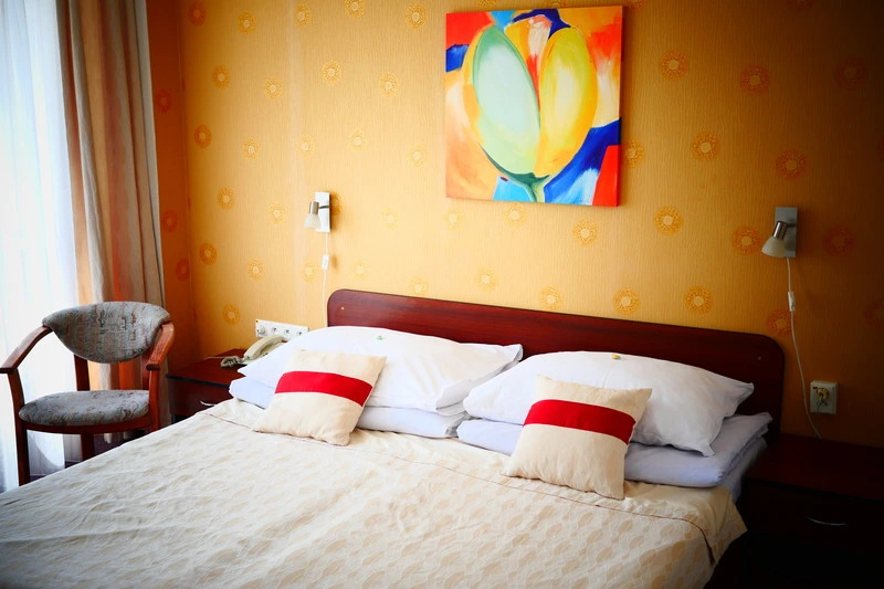 Hotel Baronka - Chambres