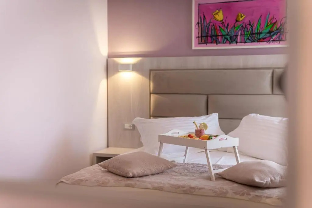 Standard Double room with mountain view (full double bed)