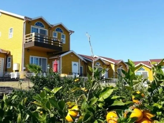 Jeju Healing House Pension