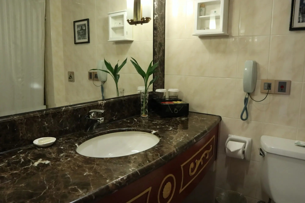 Anting Villa Hotel Shanghai - Général