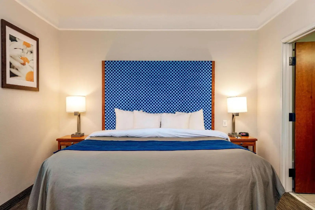 Spark by Hilton Savannah Airport - Général