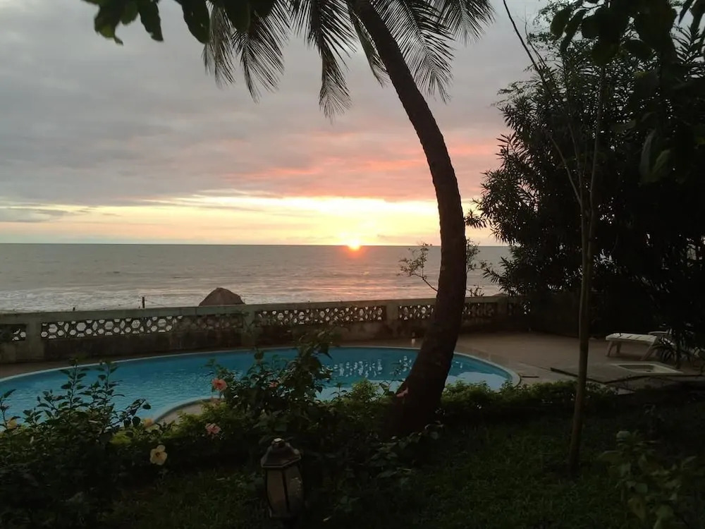 Pension Les Palmiers — фото 2