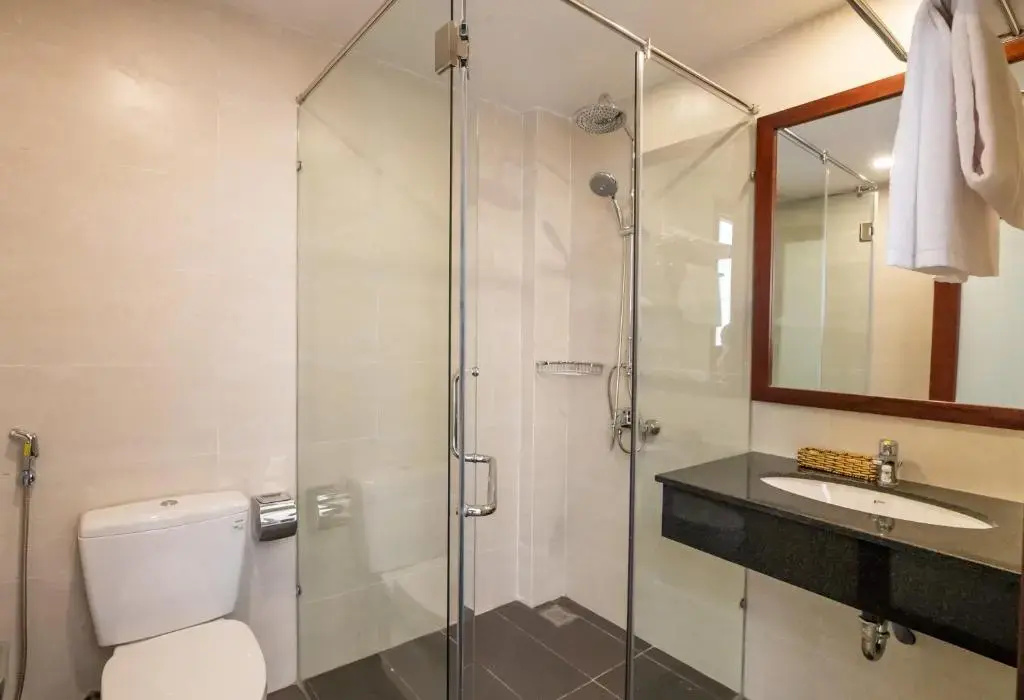 Standard Triple room with city view