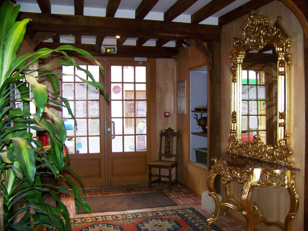 Hôtel et Spa Le Lion d'Or - Général