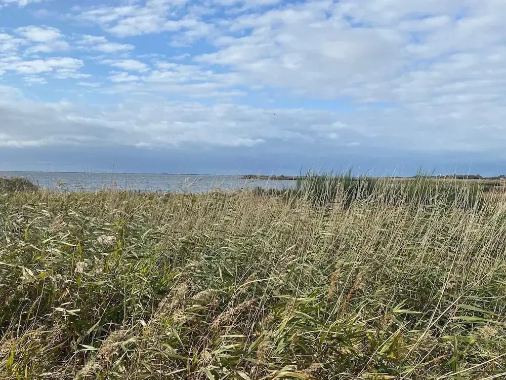 4 Star Holiday Home in Skjern