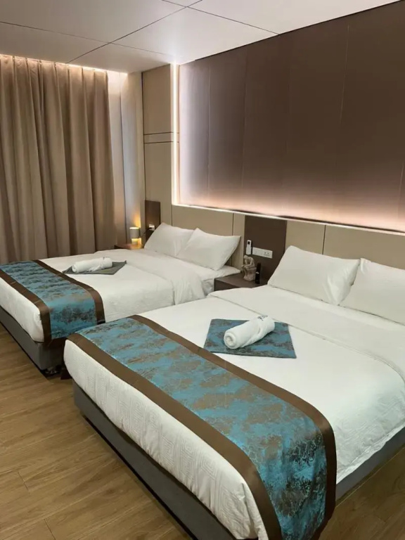 Deluxe Double room (twin beds)