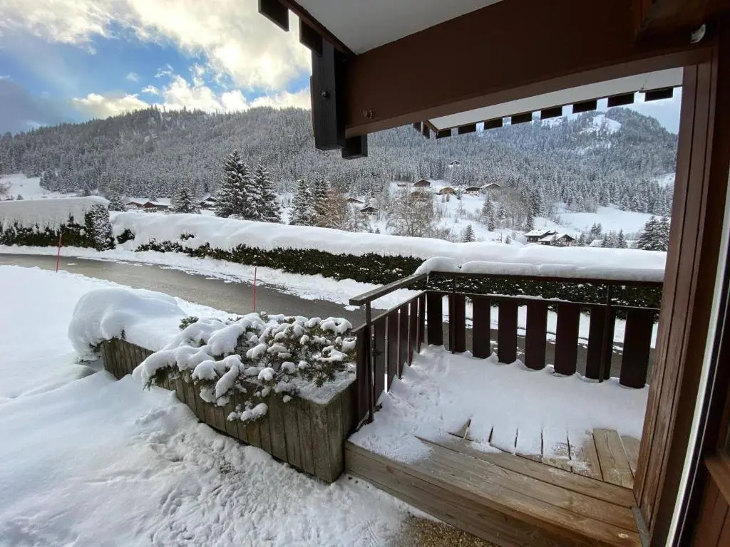 Voir la photo 3 — Studio La Clusaz, 1 pièce, 4 personnes - FR-1-459-153