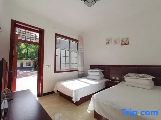Standard Double room (twin beds)