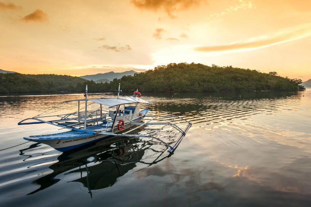 Coron Underwater Garden Resort - Général