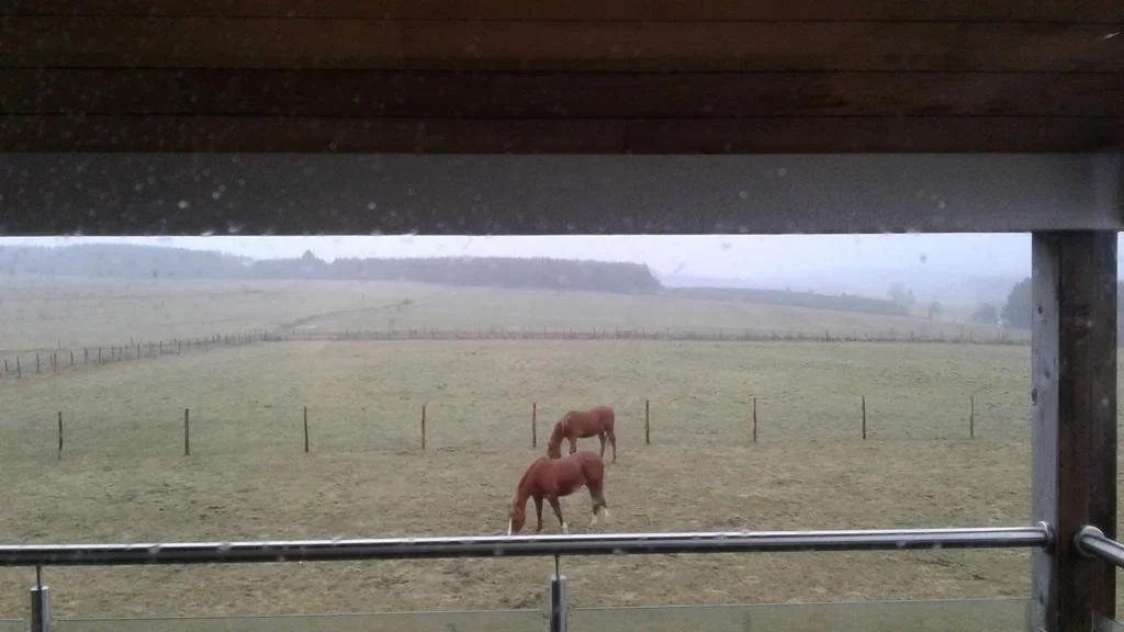 B&B La Chabetaine - фото 10