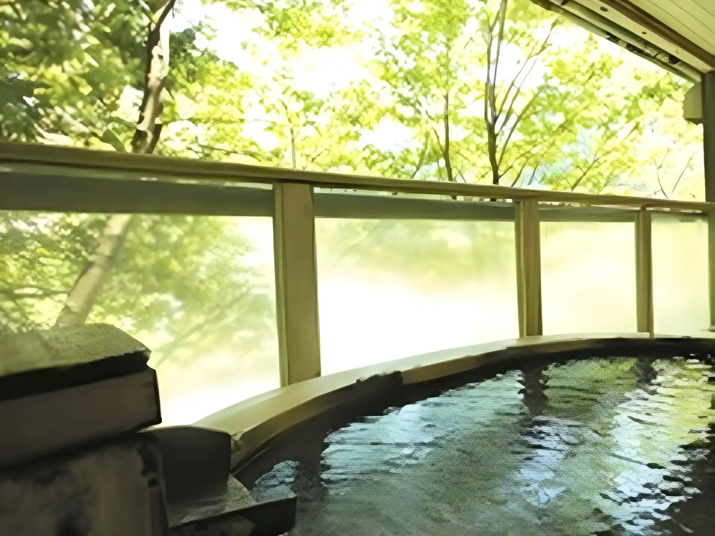 Sanyanagitei Ryokan - Général