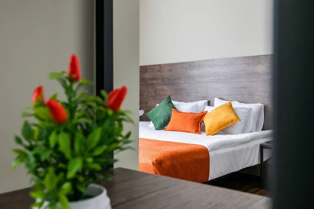 Balcony & Terrace