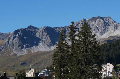 Appartementhaus Paradies by null
