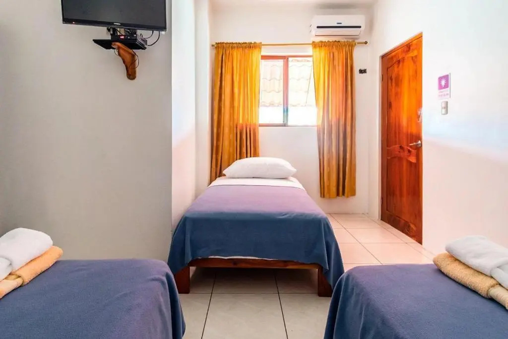 Hostal Tongo Reef - Chambres