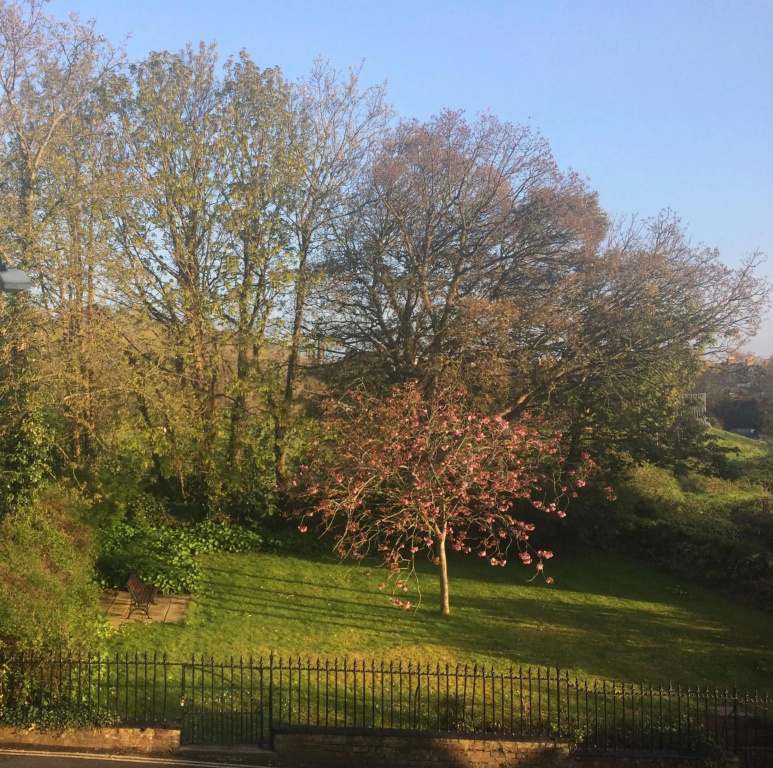 Luxury City Centre Apartment, Exeter.