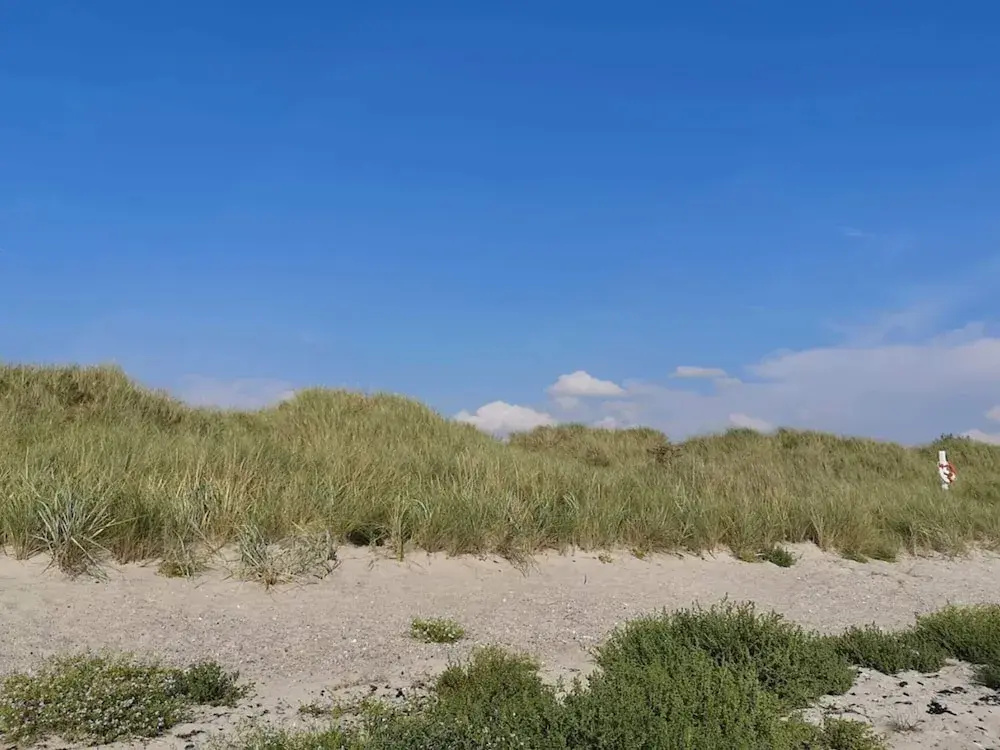 4 Star Holiday Home in Rodby