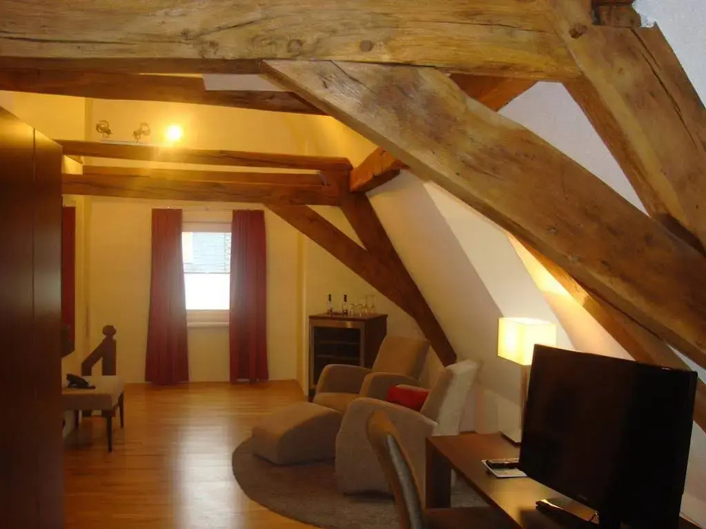 Boutique Hotel Villa Melsheimer - Général
