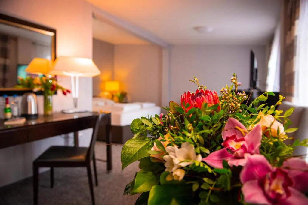 Deluxe Double room (full double bed)
