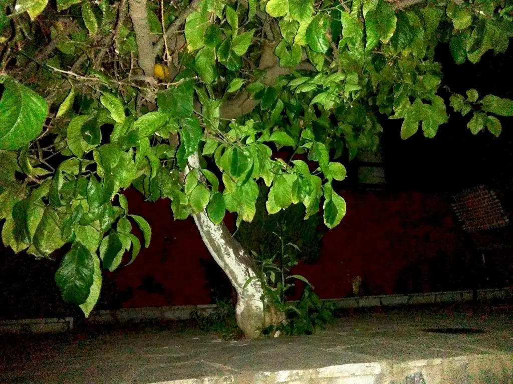 S.D Apartment 2 - фото 28