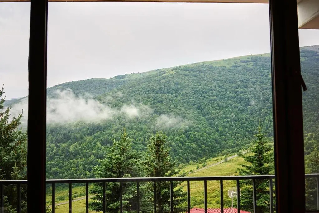 Standard Double room with mountain view (full double bed)