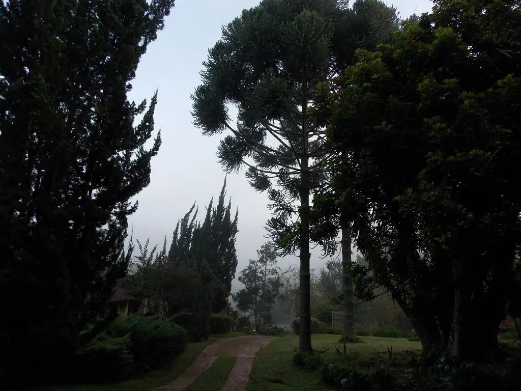 VELINN Hotel Fazenda Fonte das Hortênsias