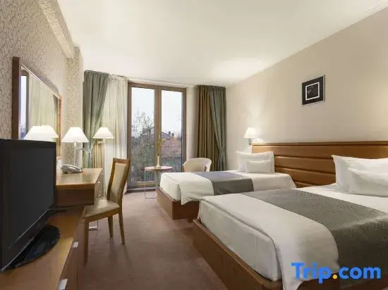 Deluxe Single room (single bed)