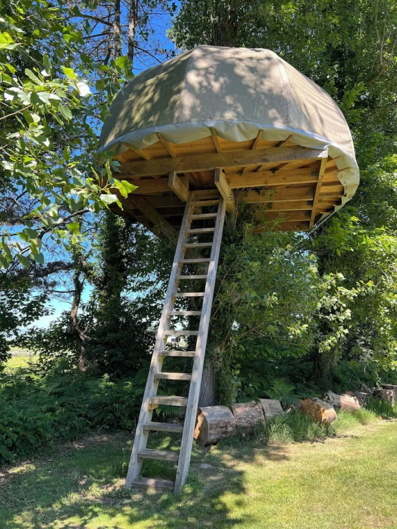 Treecamps
