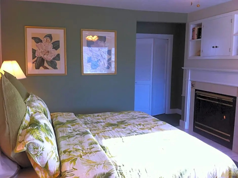 Standard Double room with mountain view (full double bed)