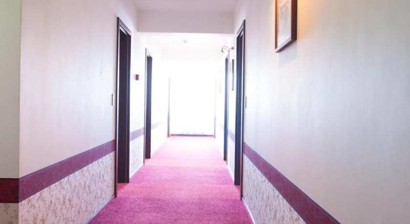 Hotel Ana Inn - фото 11