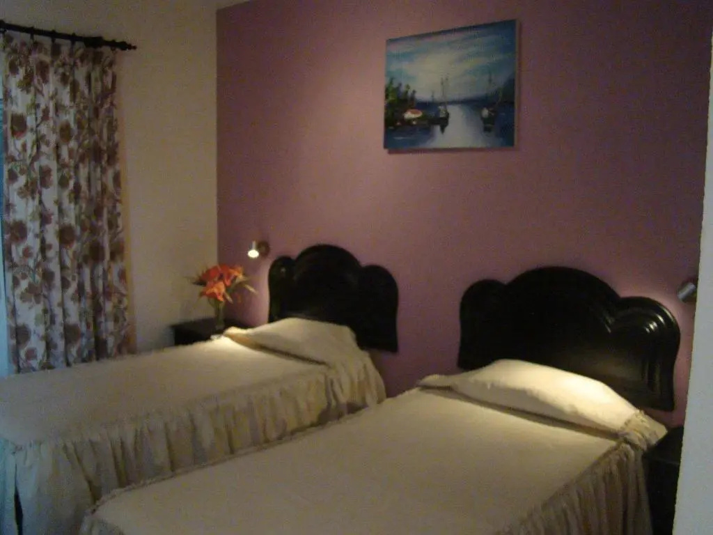 Standard Double room with balcony (twin beds)