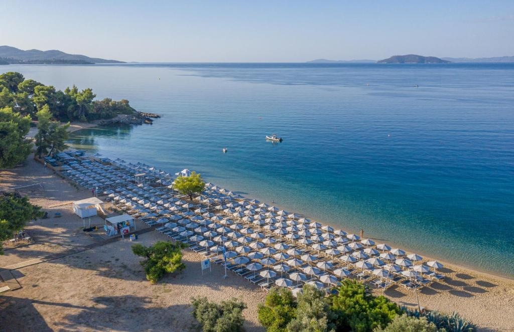 Lagomandra Hotel & Spa, Халкідікі, Греція мініатюра 23