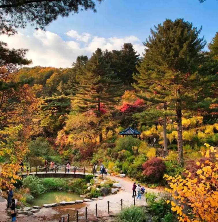 Elysian Gangchon Resort - Chambres