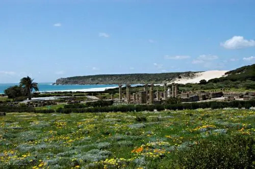 Beach & Waterfront