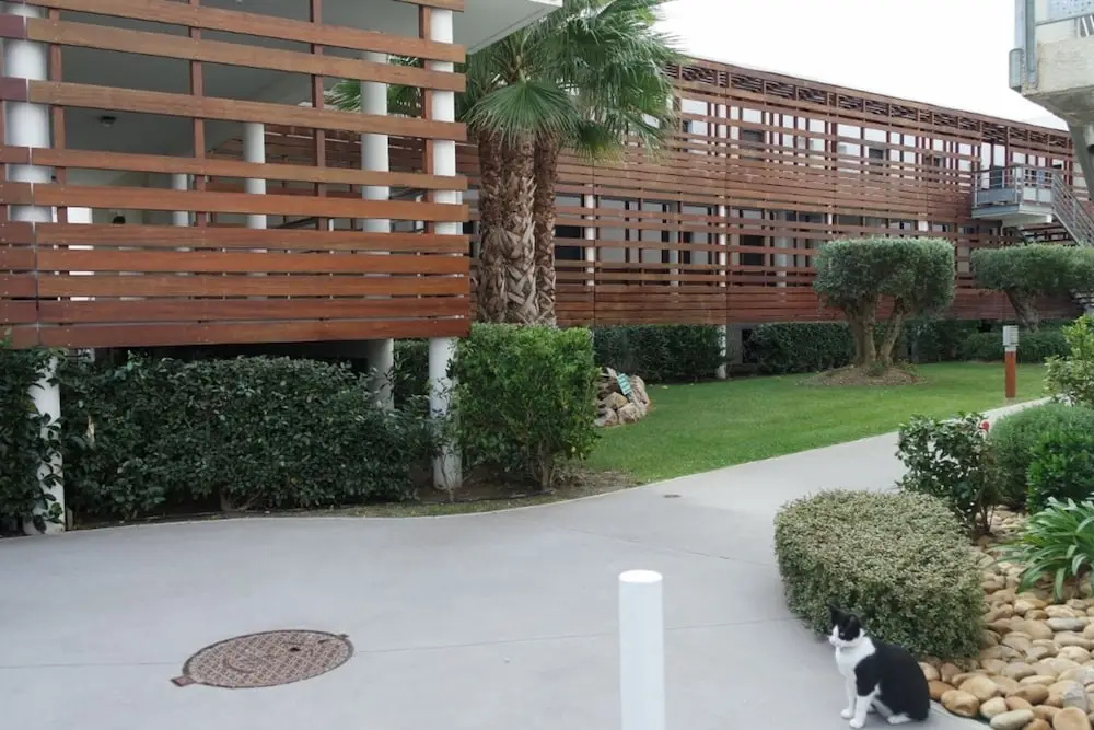 Hotel photo 12